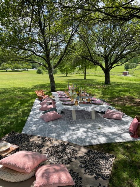 20th Birthday Ideas Outdoor, Outdoor 20th Birthday Party, Sweet 16 Park Party Ideas, Sweet 16 Picnic Aesthetic, Birthday Party At Park Decor, Sweet 16 Picknick, Outside Birthday Picnic, 16 Birthday Party Ideas Picnic, Picnic Brunch Birthday Party