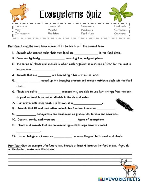 Year 5 Science Worksheets, Grade 4 Natural Science Worksheets, Sixth Grade Worksheets, Ecosystem Activities For Kids, Grade 5 Science Worksheets, Grade 4 Science Worksheets, Science Worksheets For 4th Grade, Ecosystems 4th Grade, 7th Grade Science Worksheets