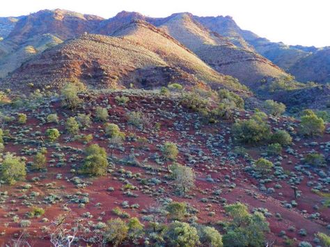 Flinders Ranges, Australian Landscapes, Australian Photography, Outback Australia, Adelaide South Australia, Vintage Hawaii, Walking Trails, Scenic Routes, South Australia