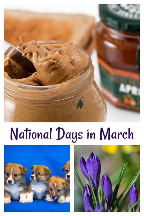 March National Days from peanut butter lovers day, to pets day and flowers day, every day of March is a reason to celebrate.  #nationaldays #celebrateationaldays #celebrations #holidays National Days In March, March Themes, A Days March, Crazy Facts, National Days, Good Excuses, Lovers Day, March Month, Peanut Butter Lovers