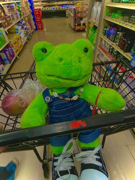 Build A Bear Outfits, Baby Frog, Frog Wallpaper, Teddy Bear Clothes, Frog Pictures, Cute Squishies, Bear Photos, Bear Outfits, Crazy Funny Pictures