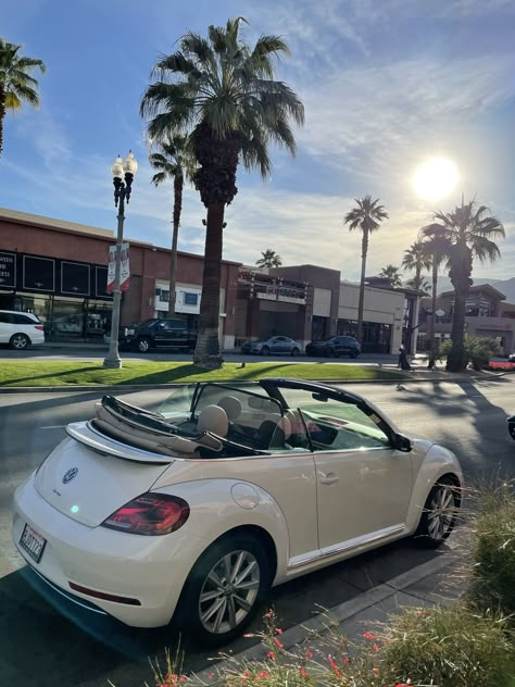 Small Convertible Car, White Convertible Car, Convertible Beetle, Affordable Cars, Goals 2024, Volkswagen Beetle Convertible, Volkswagen New Beetle, Car Deco, Beetle Car