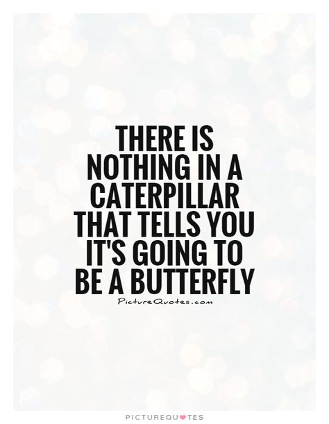 Caterpillar - Buckminster Fuller Caterpillar Quotes, Trust Me Quotes, Trust Yourself Quotes, Butterfly Quote, Being In A Relationship, Buckminster Fuller, Butterfly Quotes, Alice And Wonderland Quotes, Pooh Quotes