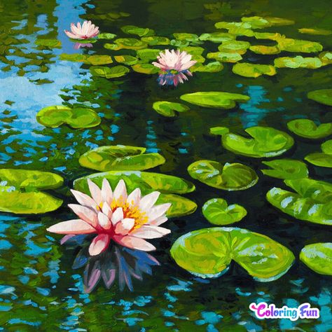 Water Lilies Painting, Lotus Garden, Lilly Pad, Lotus Painting, Sunrise Painting, Lily Painting, Acrylic Painting Flowers, Monet Paintings, Van Gogh Art