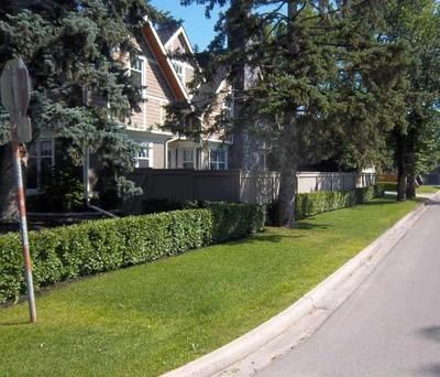 Corner Property Landscaping Ideas, Corner Lot Landscaping Front Yards Curb Appeal, Corner Lot Side Yard Ideas, Street Corner Landscaping Ideas, Corner Lot Privacy, Landscaping Fence Corner, Landscaping A Corner Lot, Corner House Landscaping, Corner Lot Fence Ideas