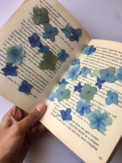 Dried Hydrangeas, Botany, Pressed Flowers, Journal Inspiration, Hydrangea, Dried Flowers, Collage, Jewelry Design, Floral