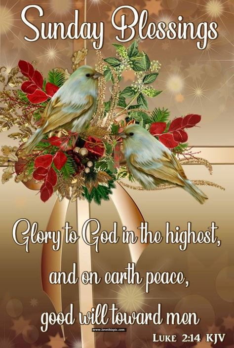 Sunday Blessings Glory To God Pictures, Photos, and Images for Facebook, Tumblr, Pinterest, and Twitter Sunday Christian Blessings, Sundays Blessings, Sunday Prayers, Sunday Morning Prayer, Bible Principles, Blessed Sunday Morning, Morning Sister, Sunday Prayer, Sunday Greetings