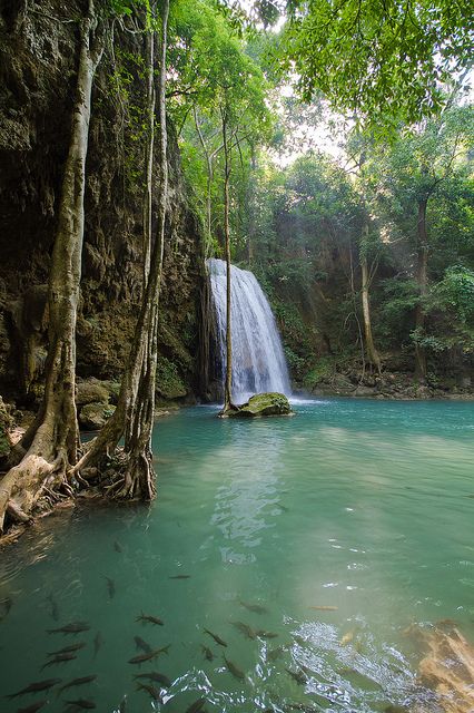 Erawan waterfalls - de visjes komen aan je tenen knabbelen - bekend als de visjes die ze gebruiken in schoonheidssalons om eelt te verwijderen - Erawan National Park, Waterfall Pictures, Koh Chang, Beautiful Waterfalls, Incredible Places, Thailand Travel, Pretty Places, Oh The Places Youll Go, Scuba Diving