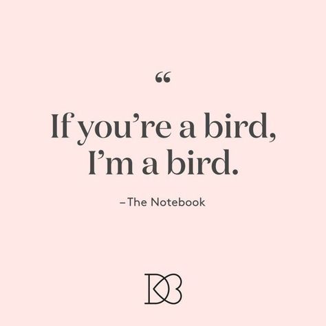 Who doesn't love a good love story? We've rounded up some of the best movie love quotes to make you feel all warm and fuzzy about your own love story! | "If you're a bird, I'm a bird." - The Notebook Notebook Quotes, The Notebook Quotes, Movie Love Quotes, Cover Quotes, Best Love Stories, The Notebook, Famous Quotes, Love A, Good Movies