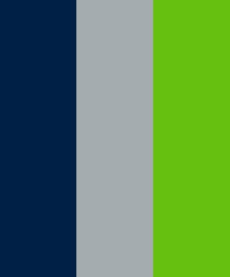 Logo Color Inspiration, Seahawks Colors, Inspiration Color Palettes, Email Examples, Palette Design, Colors Palette, Color Palette Design, New Backgrounds, Seattle Seahawks