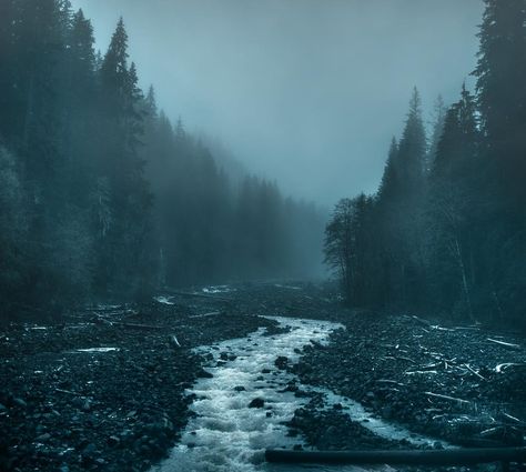 Breathtaking Moody And Mysterious Forest Photography By Dylan Furst Dark Naturalism Aesthetic, Mysterious Aesthetic, Dark Naturalism, Slytherin Aesthetic, Blue Forest, Forest Photography, Blue Hour, Dark Forest, Nature Aesthetic