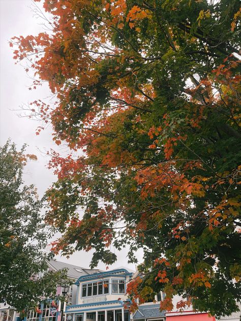 Maine Maine Astethic, Maine Autumn Aesthetic, Maine Astetic, Maine Town Aesthetic, Ogunquit Maine Fall, Maine Aesthetic, Maine In The Fall, Portland Maine, Fall Vibes