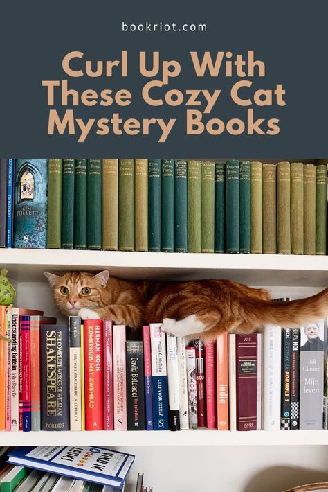 Autumn Cozy Mysteries, Books Cozy, Reading Buddies, Cosy Mysteries, Reading List Challenge, Book Cart, Sms Language, Cozy Mystery Books, Cozy Mystery Book