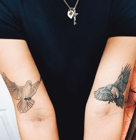 Doves And Ravens Tattoo, Dove Raven Tattoo, Doves And Ravens Fly The Same Tattoo, Raven And Dove Tattoo, Dove And Raven Tattoo, Dove Drawing, Dove Tattoo Design, Tier Tattoo, Dove Tattoo