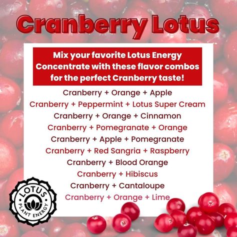 Christmas Lotus Drinks, Lotus Energy Drink Flavors, Lotus Drink Ideas, Lotus Recipes, Lotus Drinks, Lotus Recipe, Diy Lotus, Deja Brew, Lotus Energy