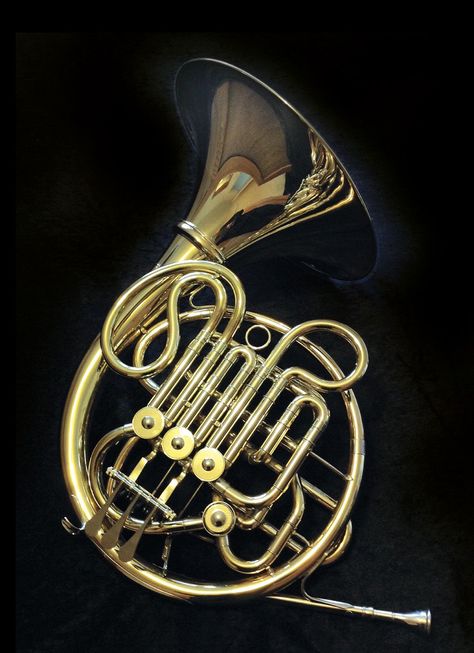 Brass Musical Instruments, Brass Instruments, French Horn, Musical Art, Horn Necklace, All That Jazz, World Music, Marching Band, Music Gear