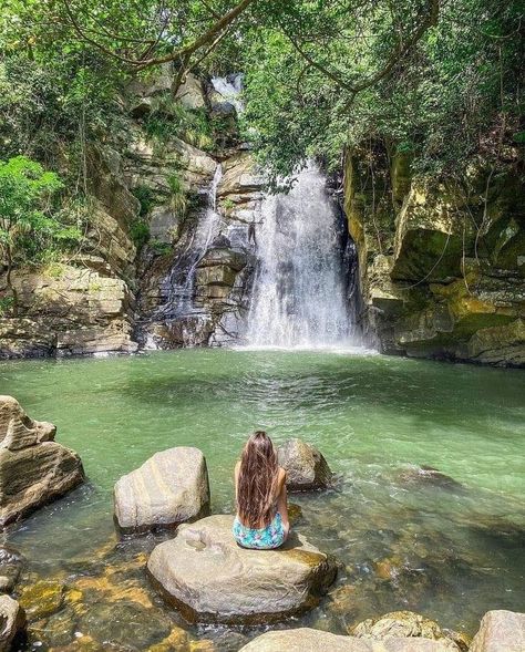 Visit Sri Lanka 2024 😍🌿 Spend your vacation with us.The best destination in the world..🇱🇰 . . . . . . . 📸 DM For Credit Or Removal, Credit Always Goes to respective owners 🌐 Website: www.blueskygalletaxis.com 📧 Email: tours@blueskygalletaxis.com 📱 Whatsapp: +94764326808 📸 Follow us on Instagram: https://www.instagram.com/bluesky_galle_taxis/ 👍 Like our Facebook Page: https://web.facebook.com/people/BlueSky-Galle-Taxis/100094866371671/ #srilanka #travel #tourism #visitsrilanka #ceylon ... Sri Lanka Waterfall, Sri Lanka Aesthetic, Meghalaya Travel, Sri Lanka Holidays, Sri Lanka Beach, Travel Pose, Backpacking Asia, Sri Lanka Travel, Travel Tourism