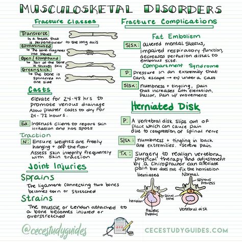 Chelsea | Nursing Education on Instagram: “Do you know the different types of fractures? 🦴 What not to do with traction devices? Believe it or not I had a ton of ortho questions on…” Fractures Nursing, Fracture Types, Ortho Nurse, Bsn Nursing, Types Of Fractures, Nurse Specialties, Memory Notebook, Nurse Notes, Nursing Essentials