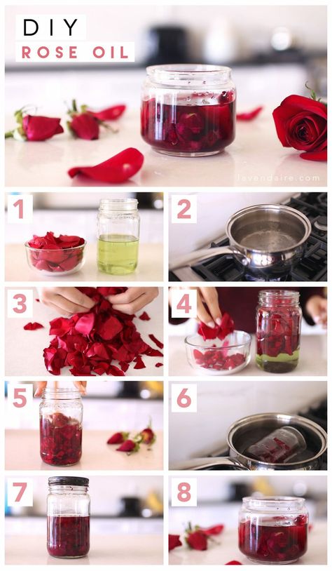 DIY Rose Oil & Rose Water - Lavendaire Rose Water Diy, Face And Body Care, Lilin Aroma, Săpunuri Handmade, How To Make Rose, Diy Rose, Diy Roses, Homemade Bath Products, Diy Body