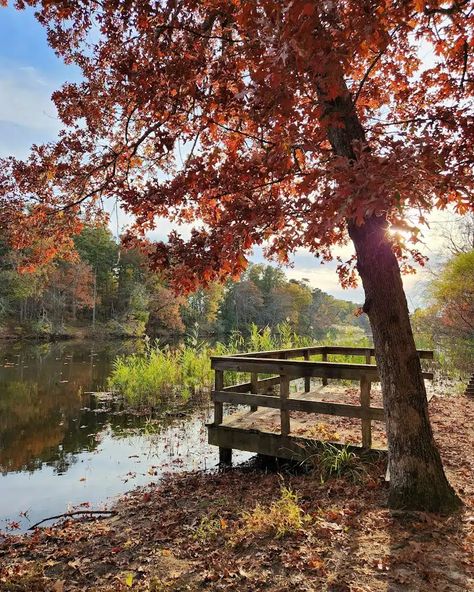 9 Best Places To Visit In New Jersey In The Fall 2023 Fall In New Jersey, New Jersey Fall, Delaware Water Gap, Hiking Places, Wildwood Nj, Hiking Adventures, Leaf Peeping, Garden State, Fall Hiking