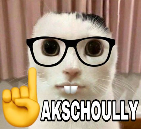 🤓☝️ „ ummm ak-„ #cats #memesdaily #nerd #nerdemoji Nerd Meme, Finger Emoji, Funny Looking Cats, Ugly Cat, Cat Emoji, Laughing Emoji, Funny Caricatures, Silly Cats Pictures, Funny Emoji