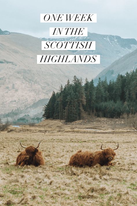 The Ultimate 1 Week Scottish Highlands Itinerary - Live Like It's the Weekend Inverness Scotland, Scotland Vacation, Scotland Road Trip, Scotland Highlands, Quaint Village, Countries To Visit, Isle Of Skye, Scotland Travel, Inverness