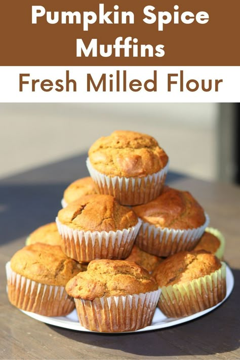 Fresh Milled Flour Pumpkin Muffins, Fresh Milled Flour Pumpkin Bread, Fresh Milled Pumpkin Muffins, Freshly Milled Flour Muffins, Fresh Milled Muffin Recipes, Fresh Milled Pumpkin Bread, Fresh Milled Flour Muffins, Fresh Milled Scones, Fresh Milled Muffins