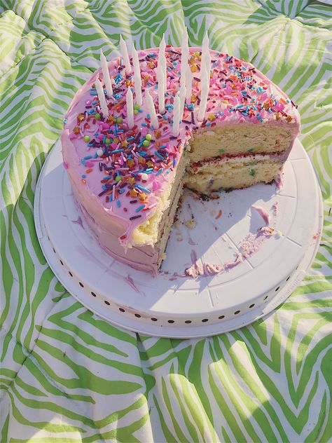 Purple Funfetti Cake, Homemade Birthday Cake, Sprinkles Birthday Cake, Homemade Birthday Cakes, Homemade Birthday, Pink Frosting, Funfetti Cake, 23rd Birthday, With Cream Cheese Frosting