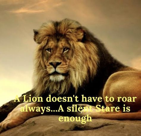 Lion Pride Quotes, Lion Quote, Lioness Quotes, Weakness Quotes, Silent Quotes, Leo Zodiac Quotes, Leo Woman, Lions Den, Leo Quotes