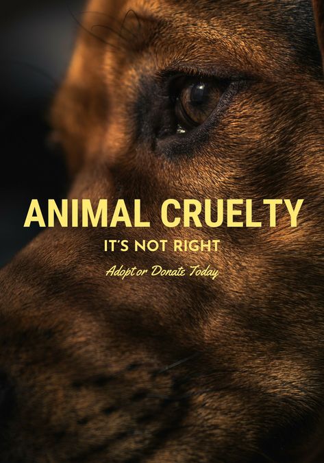 Adopt or donate today @ your local adoption centre. Stop animal cruelty! Cruelty Quotes, Animal Cruelty Quotes, Jobs Aesthetic, Animal Cruelty Awareness, Stop Animal Testing, Mercy For Animals, Dog Quotes Love, Animal Conservation, Animal Activist