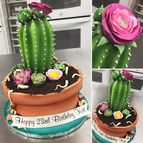 Cactus Cakes Birthday, Cactus Cakes, Succulent Cakes, Cell Project, Happy 23rd Birthday, Cells Project, Cake Cute, Succulent Cake, Cactus Cake