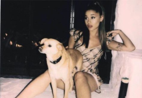 Ariana Grande announces animal rescue website Ariana Grande, We Heart It, A Woman, Lost