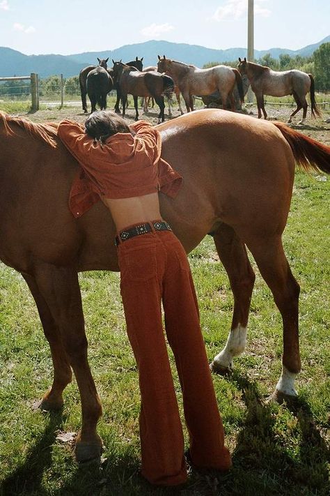 Wide Leg Pant, Urban Outfitters, Wide Leg, Horses, Green