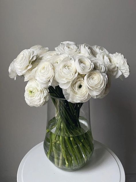 Ms.Mulberry on Tumblr White Ranunculus, Peonies And Hydrangeas, Boquette Flowers, Nothing But Flowers, Flower Therapy, Beautiful Bouquet Of Flowers, White Peonies, Luxury Flowers, Flower Phone Wallpaper