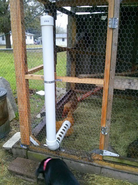 I made this chicken feeder. It is made out of 1 piece of 3 inch pipe 2 end caps and one 90° elbow. I cut a 1.5 foot piece off one end and dr... Pvc Chicken Feeder, Chicken Tunnels, Chicken Feeder Diy, Cute Chicken Coops, Chicken Waterer, Backyard Chicken Coop Plans, Diy Chicken Coop Plans, Chicken Feeders, Backyard Chicken Farming