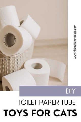 DIY Toilet Paper Roll Toys for Cats - A Quarantine Craft for You and Y – Cat in the Box LLC Toilet Paper Roll Cat, Toilet Paper Roll Cat Toy Diy, Diy Cat Toy Toilet Paper Roll, Refillable Catnip Toy Diy, Felt Cat Toys Not On The High Street, Cool Cat Toys, Cat Toilet, Diy Cat Toys, Toilet Paper Tube