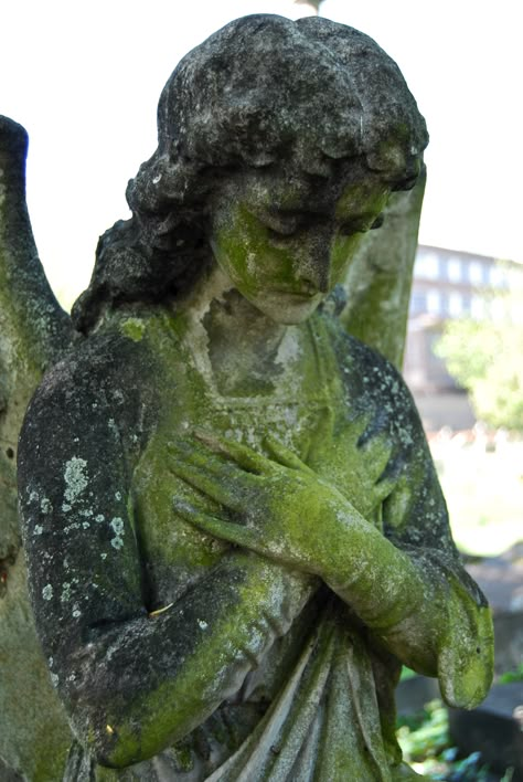 overgrown angel, London Overgrown Angel Statue, Overgrown Sculpture, Overgrown Statue Aesthetic, Overgrown Skeleton, Overgrown Statue, Overgrown Cemetery, Angel London, Grave Monuments, Sacred Garden