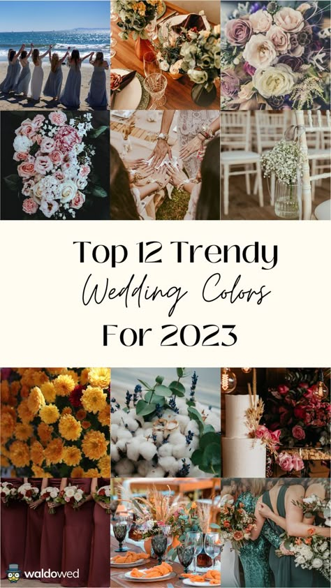 2023 Wedding Colors Summer, Wedding Colours For 2023, Wedding Colors For Fall 2023, October Wedding Colors 2023, Trending Wedding Colours 2023, Wedding Motiff 2023, Best Wedding Themes Color Schemes, August Wedding Colors 2023, 2023 Wedding Colour Trends