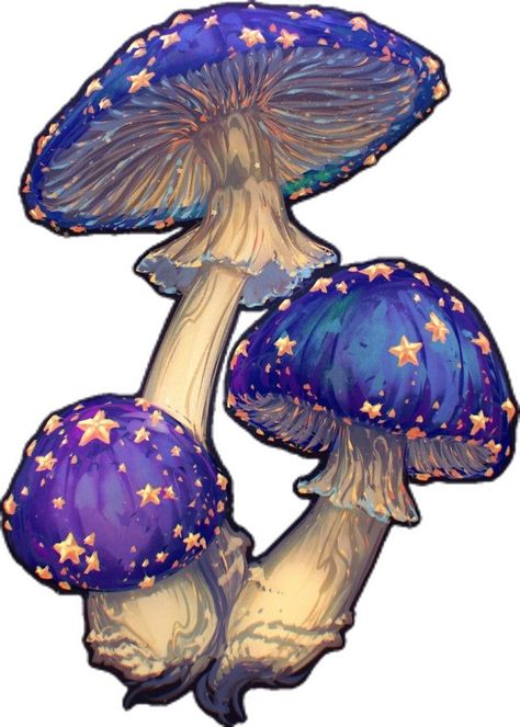 Yuumei Art, Mushroom Paint, Mushroom Pictures, Mushroom Drawing, Mushroom Art, Sketchbook Art Inspiration, A Year Ago, Art Inspiration Drawing, Art Sketchbook