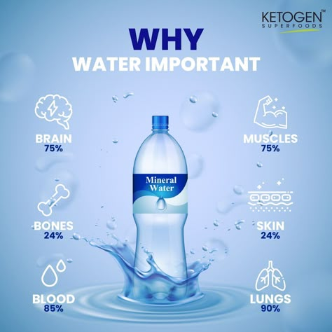 Importance Of Drinking Water, Bottle Design Water, Kangen Water Machine, Water For Health, Glasses Of Water, Drink Enough Water, Drinking Enough Water, Water Hydration, Importance Of Water