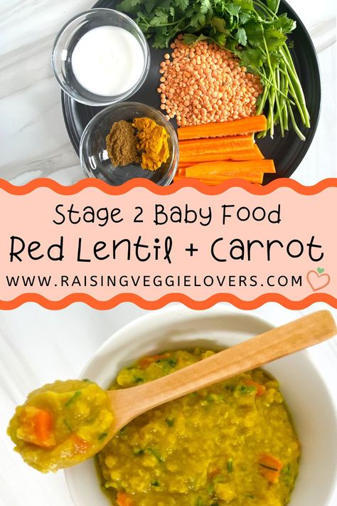 This Red Lentil   Carrot Baby Food Mash is packed with protein and vitamins, perfect for your 6 month  baby. #babyfoodrecipes #babyfoodstage2 #lentils #carrots Blw Lentils, Lentil Recipes For Kids, Protein Baby Food Puree, Red Lentil Baby Food Recipe, Blw Lentil Recipes, Lent Friday Meals Dinners, Lentils For Toddlers, Chickpea Baby Food Recipes, Baby Led Weaning Protein