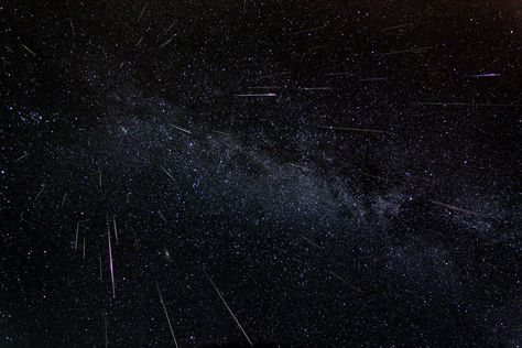 Look up! the nights of Aug. 11 and 12 for the peak of this years' Perseid meteor shower. Perseid Meteor Shower, Meteor Shower, The Night Sky, Night Sky, Shower, Stars