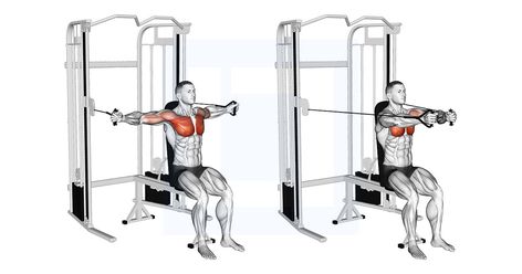 Chest Cable Fly, Machine Chest Fly, Reverse Cable Fly, Cable Flys Chest Workout, Chest Workout With Cable Machine, Chest Fly Workout, Traditional Chest, Cable Crossover Machine, Muscle Definition