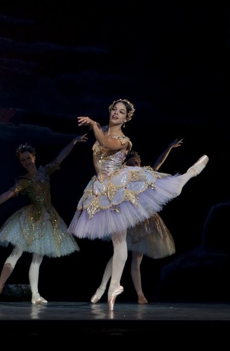 Viengsay Valdes wearing a gorgeous tutu in The Washington Ballet's production of Don Quixote in 2009 - Photo by Brianne Bland Bell Tutu Ballet, Dance Hacks, Dancing Skirt, Ballet Tutus, Tutu Ballet, Ballet Costume, Ballet Performances, Dance Like No One Is Watching, Ballerina Dancing