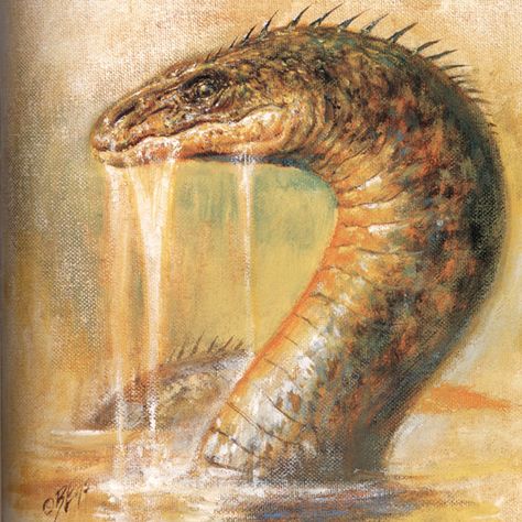 Scottish Mythology, Irish Legends, Welsh Mythology, Urban Myths, Folklore Legends, Mythical Sea Creatures, Fabulous Beasts, Celtic Myth, Folklore Mythology