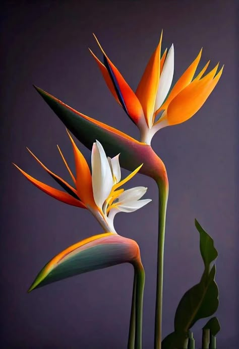 Tropical Plants Painting, Heliconia Flower, Birds Of Paradise Flower, Canvas Painting Tutorials, Painting Art Lesson, Flower Art Images, Bird Of Paradise, Beautiful Flowers Pictures, Diy Canvas Art Painting