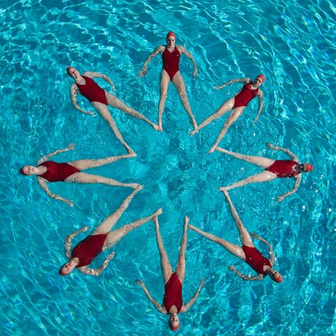 Synchronized Swimming Salvia Garden, Swimming Photography, Swimming With Dolphins, Synchronized Swimming, Swimming Sport, Vintage Swim, Ea Sports, Swimming Workout, Swim Team