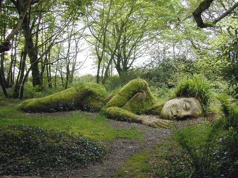 Garden of the Sleeping Giant - Fiji Lost Gardens Of Heligan, Lost Garden, Moss Covered, Land Art, Somerset, Hampshire, Secret Garden, Botanical Gardens, Cornwall