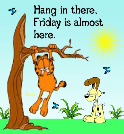 Hang in there it's almost Friday quotes quote garfield days of the week thursday thursday quotes happy thursday thursday quote Garfield Quotes, Funny Good Morning Images, Thursday Humor, Friday Pictures, Happy Thursday Quotes, Thursday Quotes, Friday Quotes Funny, Happy Friday Quotes, Garfield And Odie