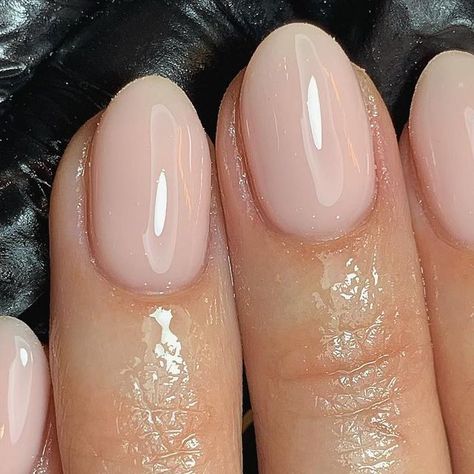 Blush by Ella on Instagram: "My favourite kind of nail ☁️
@the_gelbottle_inc 05 BIAB 
@officialnavyprofessional Prep & Hydration

#thegelbottleinc #luxurymanicure #navyprotools #tgbbiab #biabnails #sheermanicure #nu05biab" Classy Builder Gel Nails, Biogel Nails Natural, Biab Nails For Wedding, Natural Work Nails, Wedding Nails Biab, Bridemaid Nails Ideas, Natural Gel Polish Nails, Neutral Builder Gel Nails, Nails Pale Pink